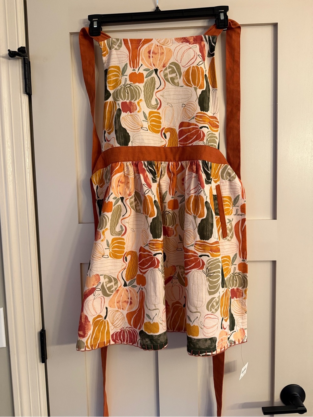 Anthropologie Festive Pumpkin and Gourd Print Apron